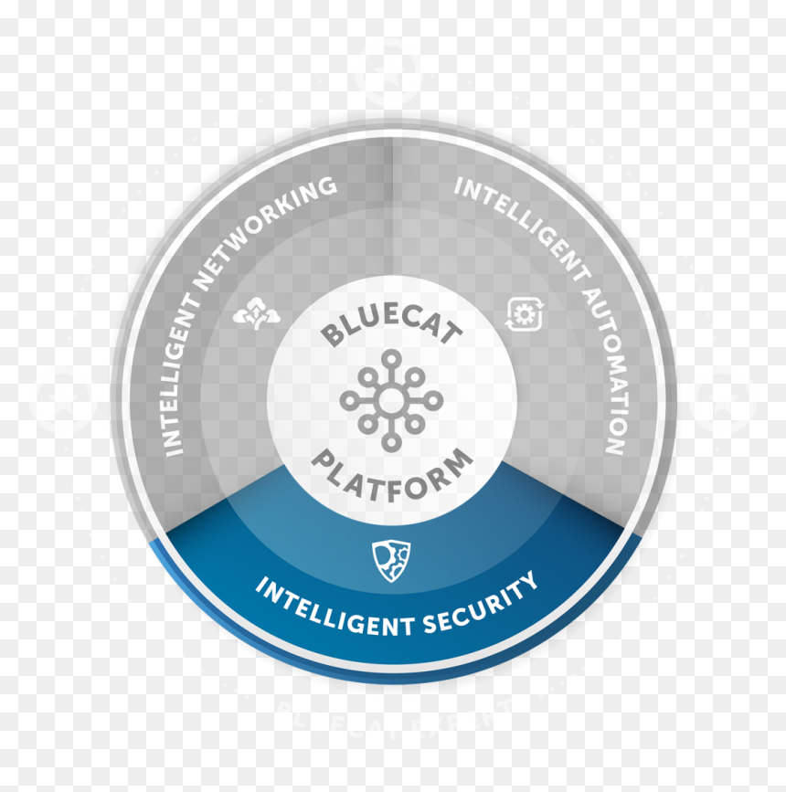 Bluecat Networks Ddi, HD Png Download - secure icon png