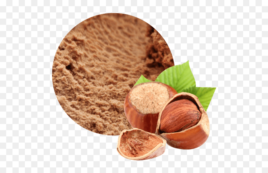 Granel 2,5 L Avellana Reus Premium - Hazelnut, HD Png Download - reus png