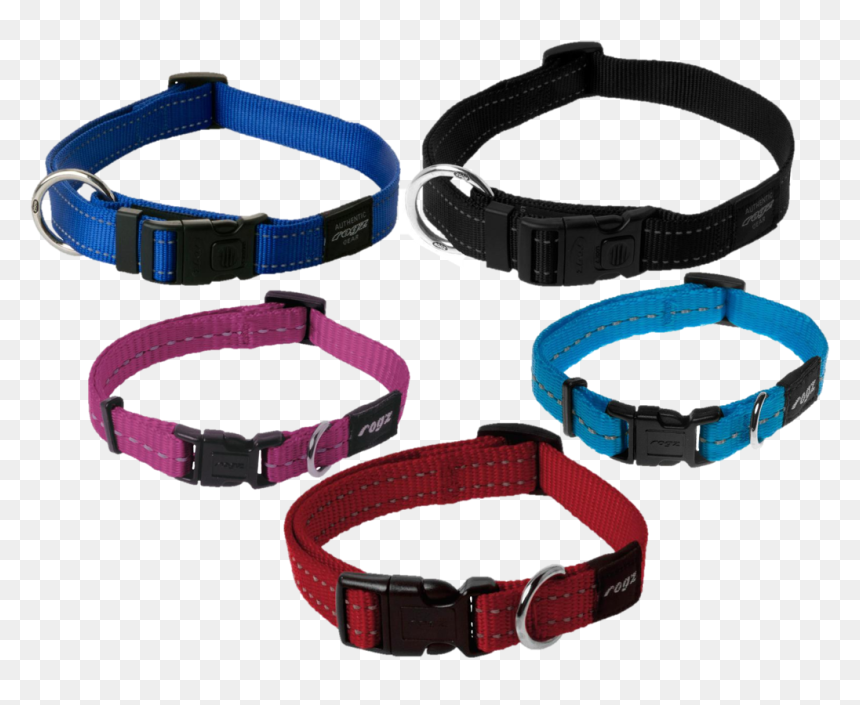 Pictures Color Dog Collar For Pets - Rogz Collars, HD Png Download - pet collar png