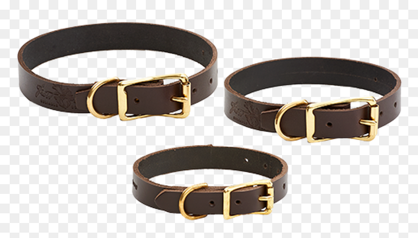 Dog Collars, HD Png Download - pet collar png