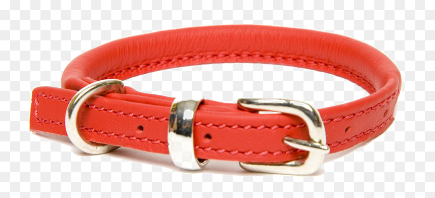 Dog Collar Free Png Image - Buckle Rolled Leather Dog Collar, Transparent Png - pet collar png