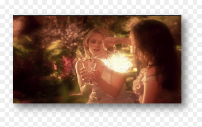 Photograph, HD Png Download - true blood png