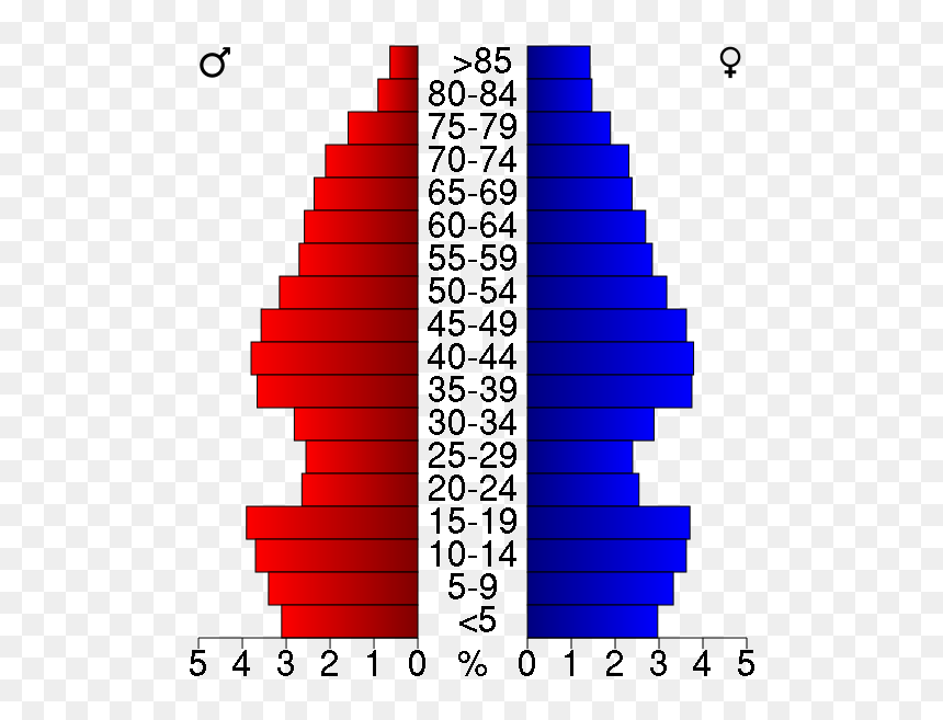Usa Crow Wing County, Minnesota Age Pyramid - Boston Massachusetts Population Pyramid, HD Png Download - crow wing png