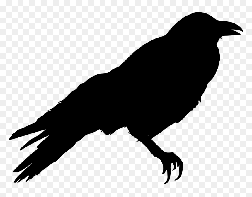 Crow Clipart Black And White, HD Png Download - crow wing png