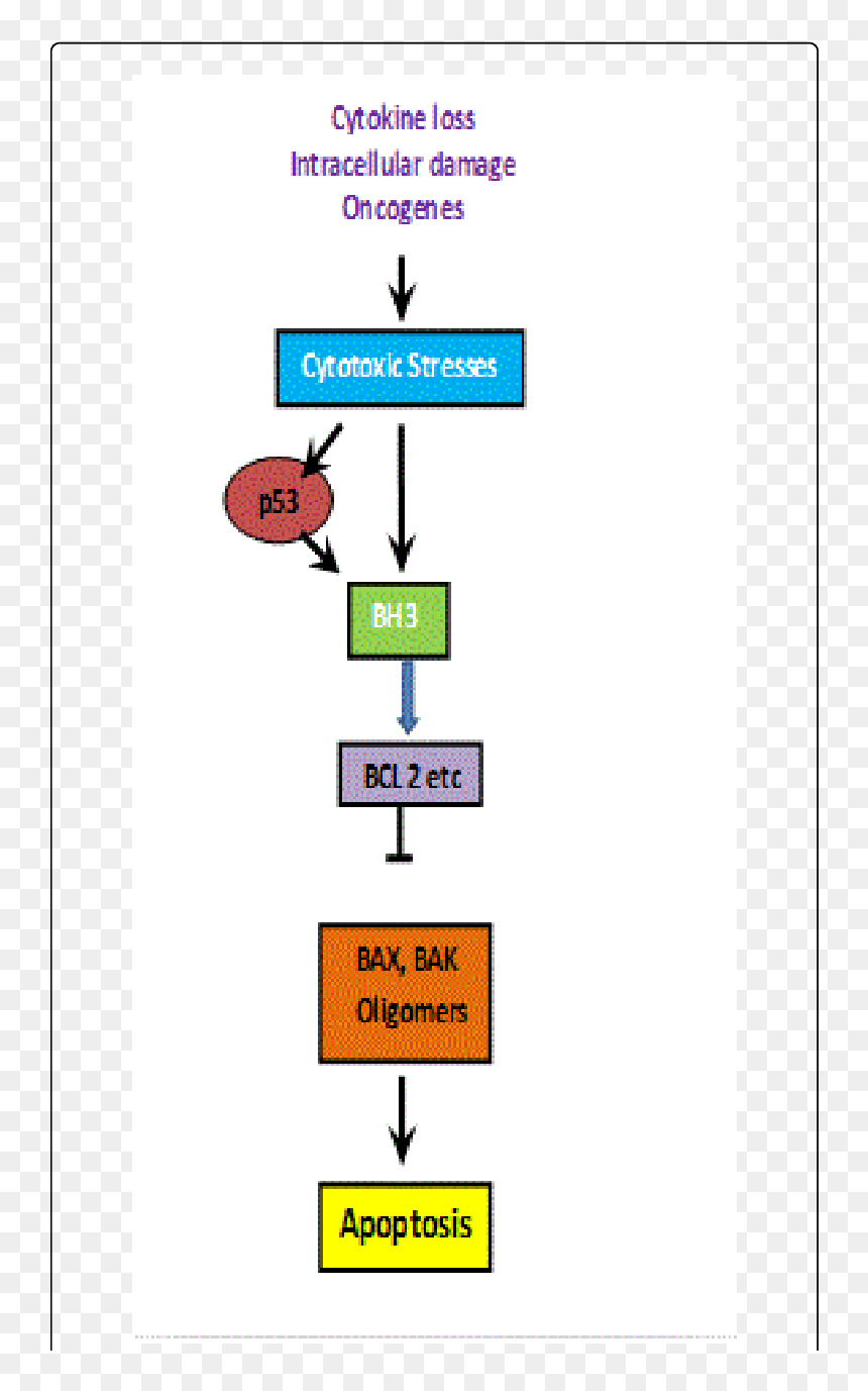 Diagram, HD Png Download - damaged png
