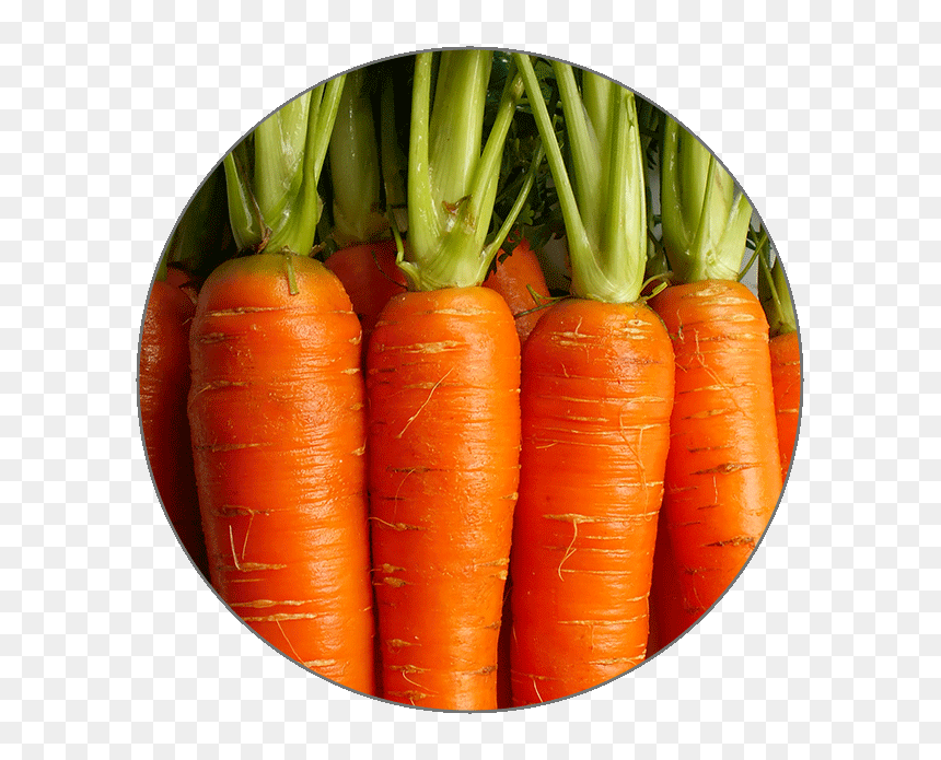 Fat Soluble Foods, HD Png Download - carrot icon png