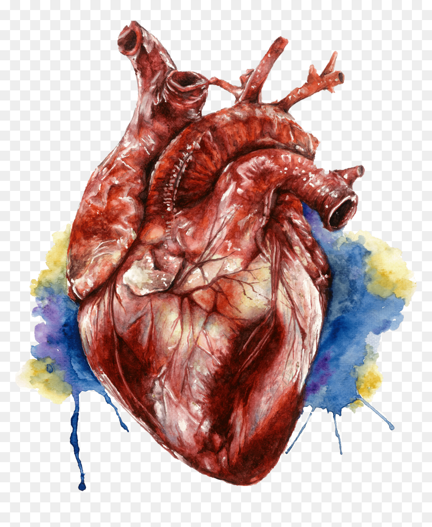Water Color Heart Png, Transparent Png - water color heart png