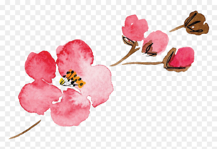 Luella Acres Flower Only - Single Flower Watercolor Transparent, HD Png Download - flower png watercolor