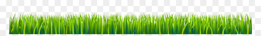 Sweet Grass, HD Png Download - tall grass texture png