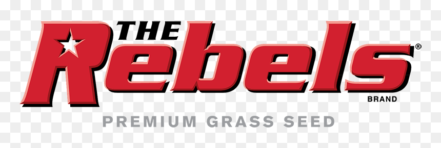 Carmine, HD Png Download - tall grass texture png