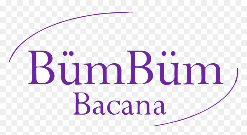 Bumbum Bacana Fitness Apparel - Chicago Title Insurance Company, HD Png Download - miami vice png