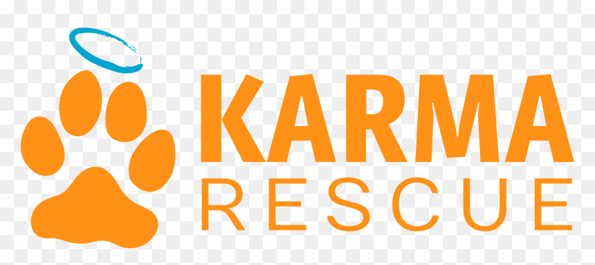 Colorfulness, HD Png Download - karma.png