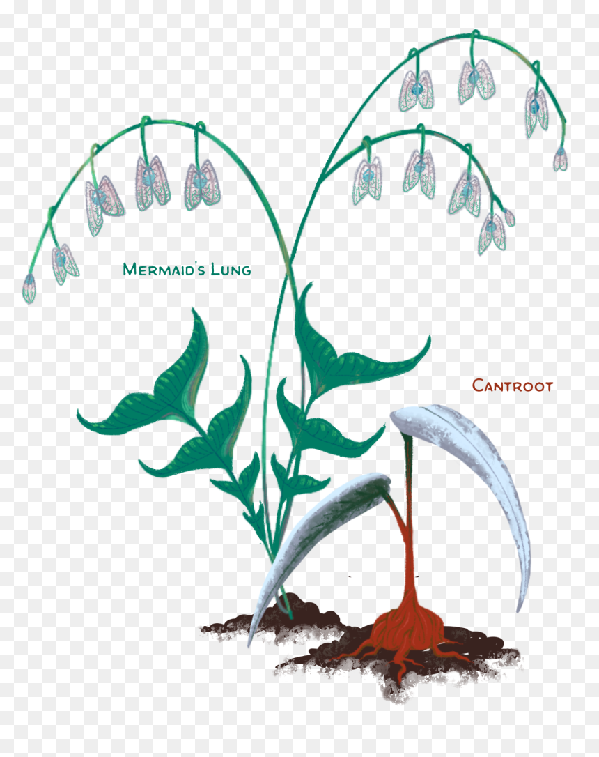 Underwater Plants Png, Transparent Png - underwater plants png