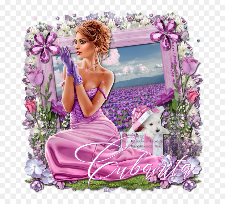 Picture Frame, HD Png Download - enrique iglesias png