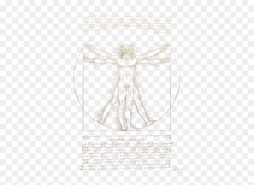 Diagram, HD Png Download - leonardo da vinci png