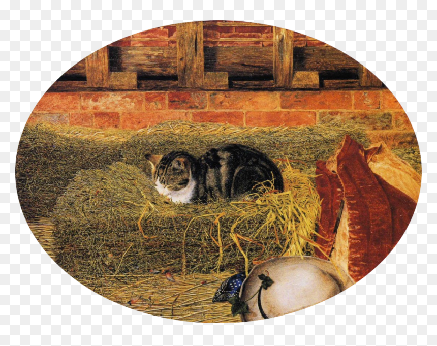 Rosa Brett The Hayloft, HD Png Download - coração png tumblr