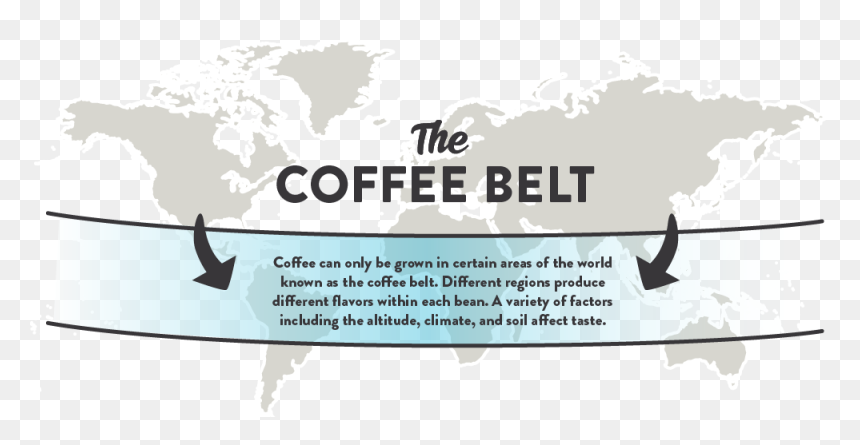 Coffee Can Only Be Grown In Certain Areas Of The World - Snow, HD Png Download - fun fact png