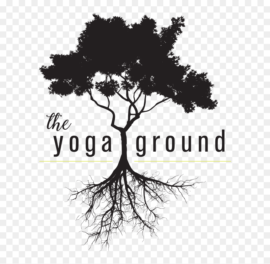 Tree And Roots Png, Transparent Png - tree and roots png
