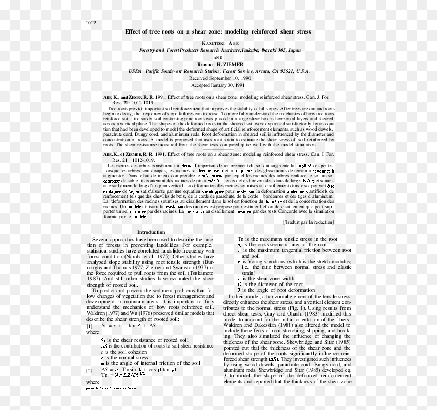 Document, HD Png Download - tree and roots png