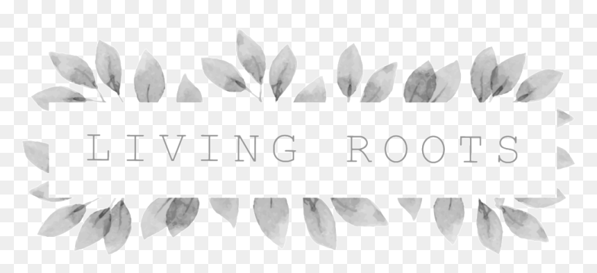 Lr Transparent Design-02 - Willow, HD Png Download - tree and roots png