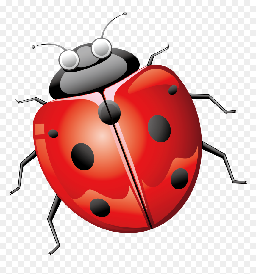 Ladybird Beetle Euclidean Vector - Ladybird Beetle, HD Png Download - parasite png