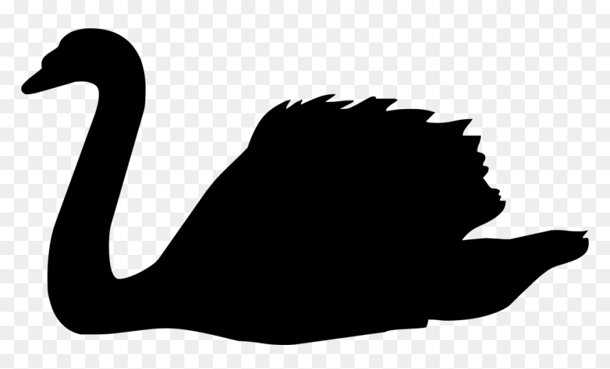 Clipart Swan Orange, HD Png Download - water silhouette png