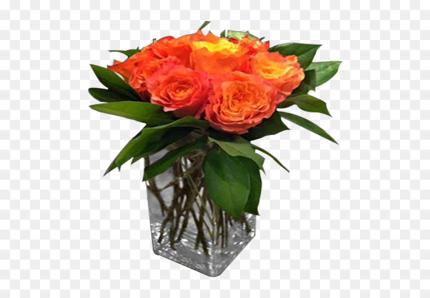 Garden Roses, HD Png Download - orange rose png