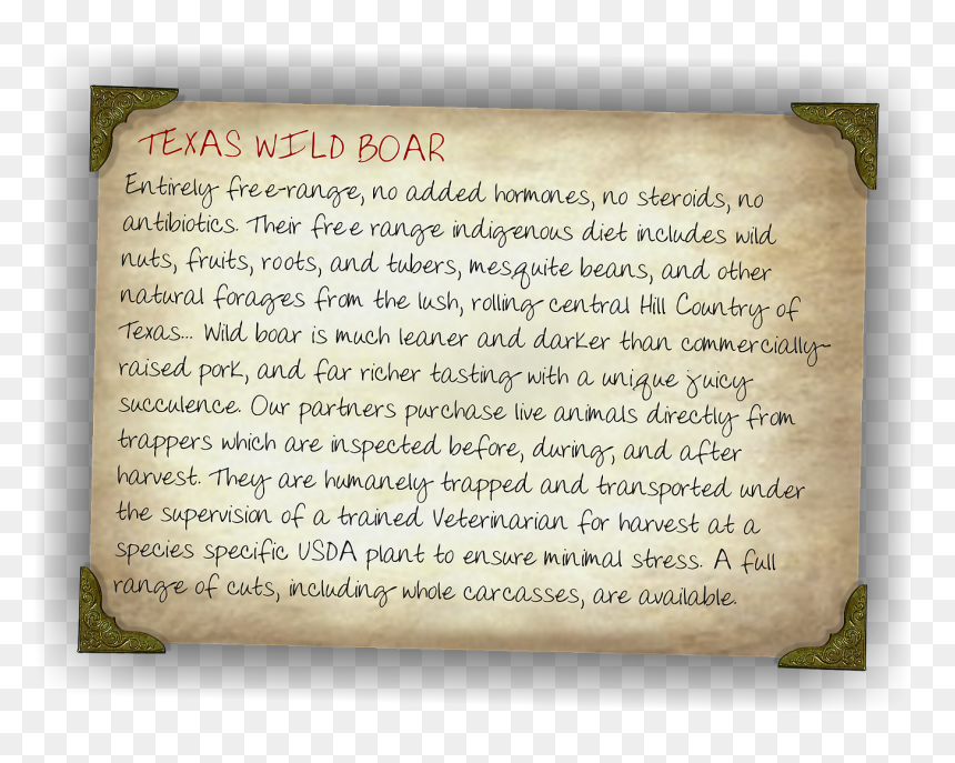 Handwriting, HD Png Download - wild boar png
