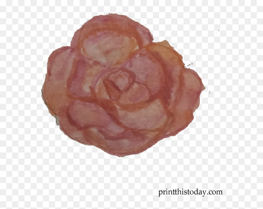 Handmade Orange Rose - Garden Roses, HD Png Download - orange rose png