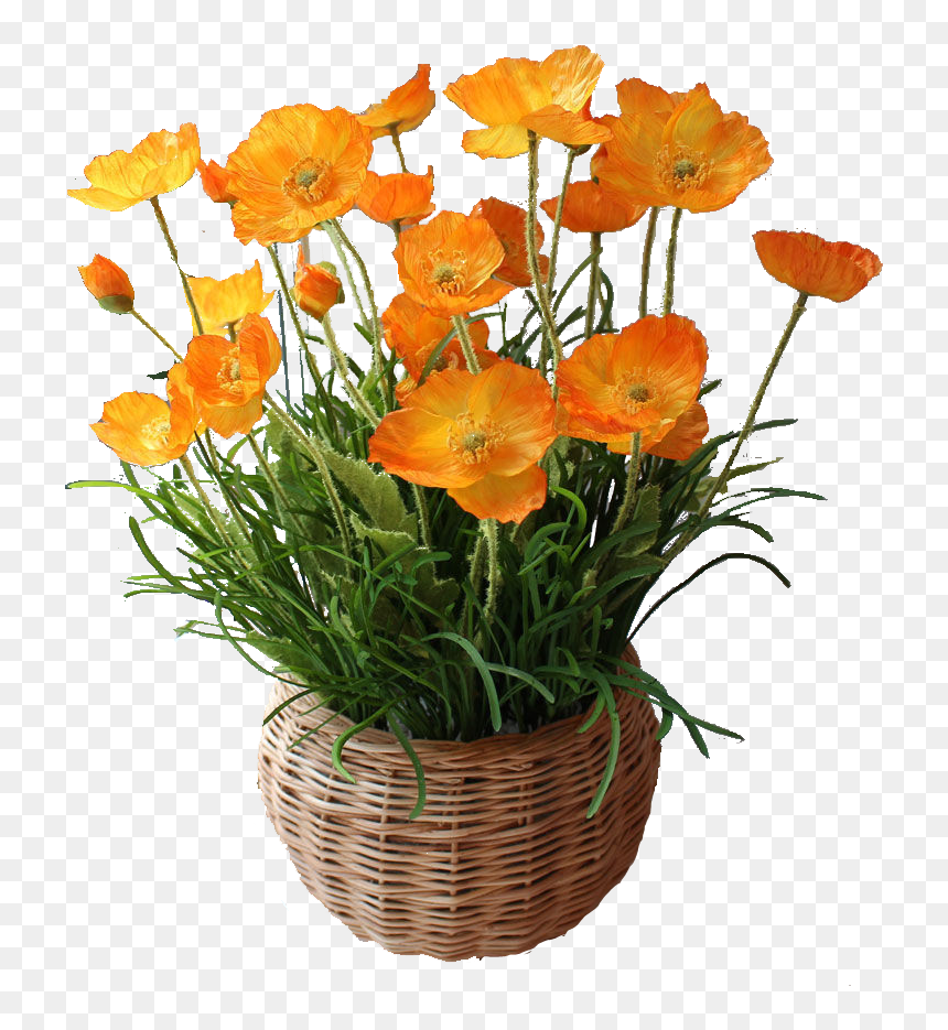 Plant Flower Cutout Png , Png Download - Transparent Cutout Plants Png, Png Download - png cutout