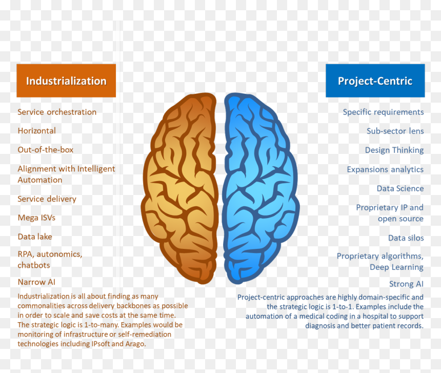 Facts About Left Handed People, HD Png Download - holy grail png