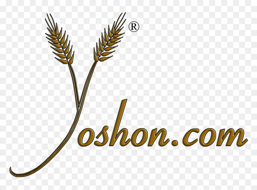 Yoshon - Com - Illustration, HD Png Download - trader joes png