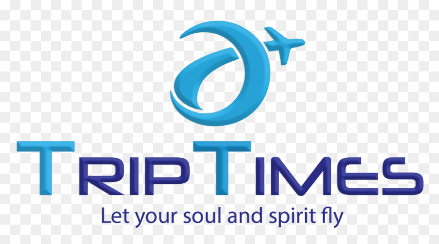 View Image Results For Airline Tickets Best Price Guarantee - Oval, HD Png Download - plane tickets png