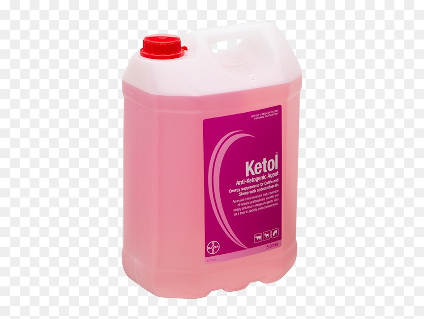 Bottle, HD Png Download - pink sheep png