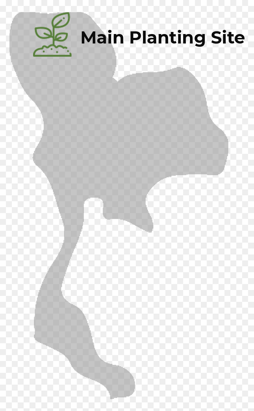 Clip Art, HD Png Download - forest icon png