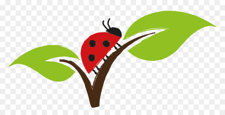 Clip Art, HD Png Download - organic icon png