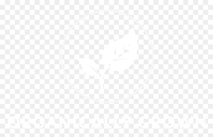 Bolsas, HD Png Download - organic icon png