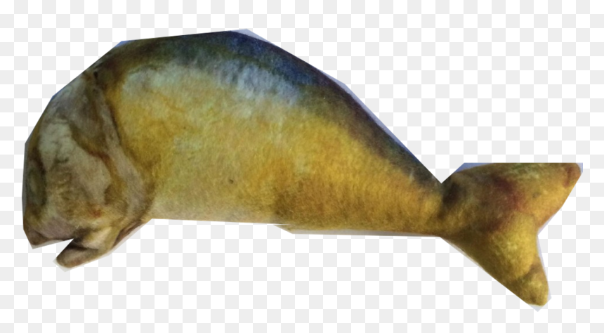 Harbor Seal, HD Png Download - catnip png