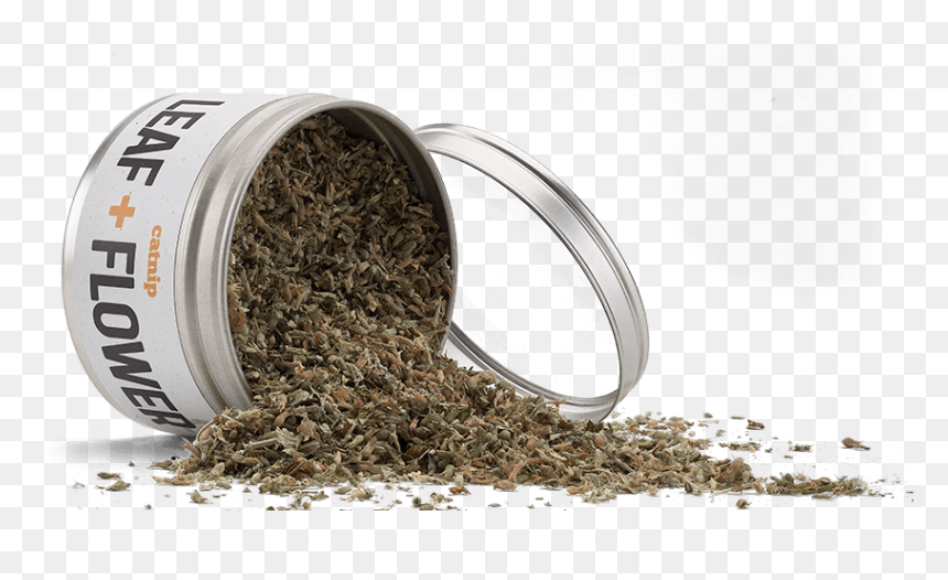 Catnip Tins Products Hero Image - Chun Mee Tea, HD Png Download - catnip png