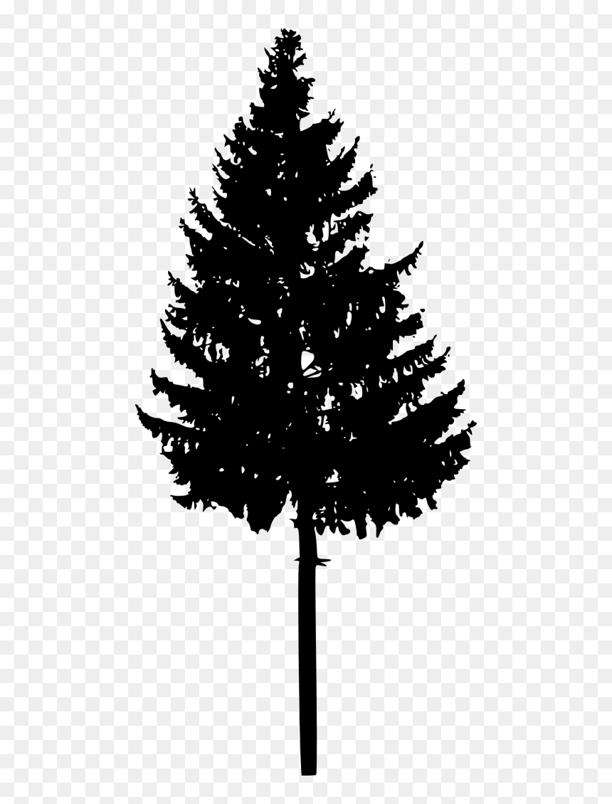 Spruce Fir Christmas Tree Silhouette - Portable Network Graphics, HD Png Download - christmas branch png