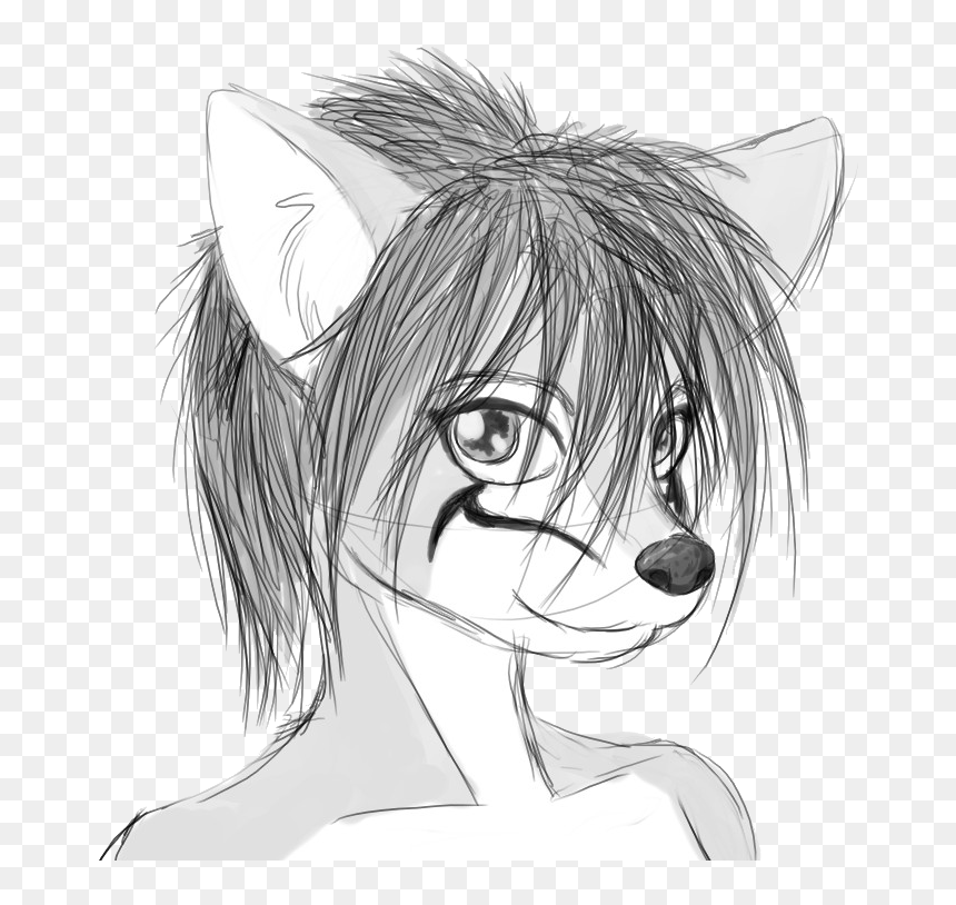 Anthro Vixen - Anime Courtroom Sketch, HD Png Download - vixen png