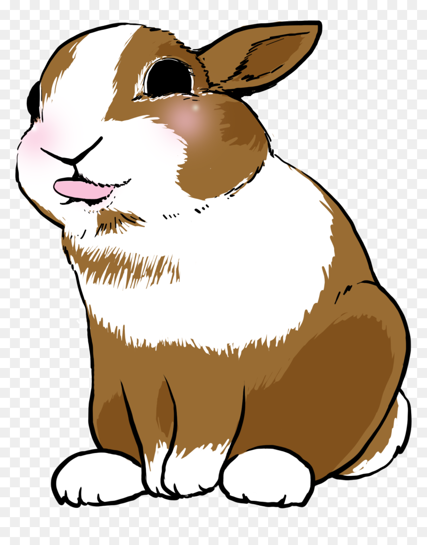 道奇 兔 手繪, HD Png Download - rabbit icon png
