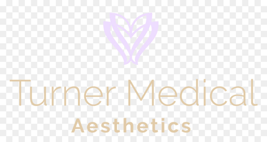 Dr - Turnerlogos - Red Panda, HD Png Download - aesthetics png