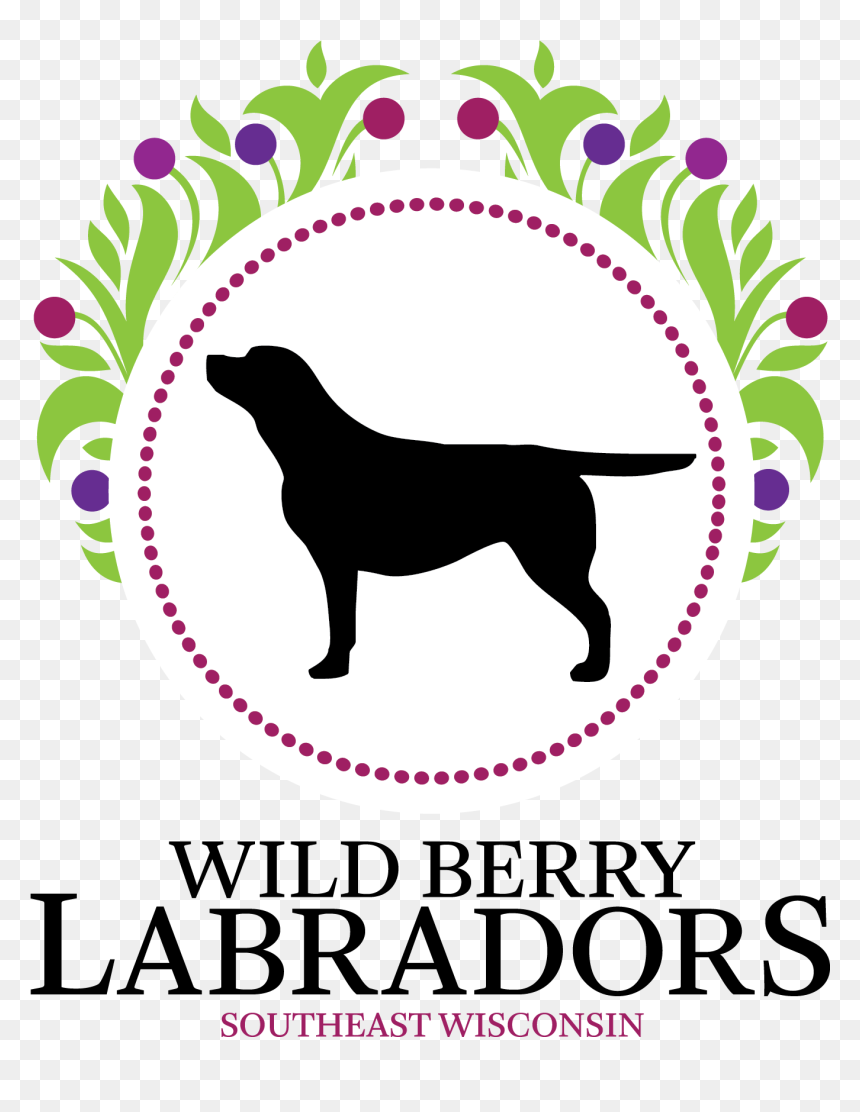 Transparent Wisconsin Clipart - Serena Hotel Kabul Logo, HD Png Download - wisconsin silhouette png