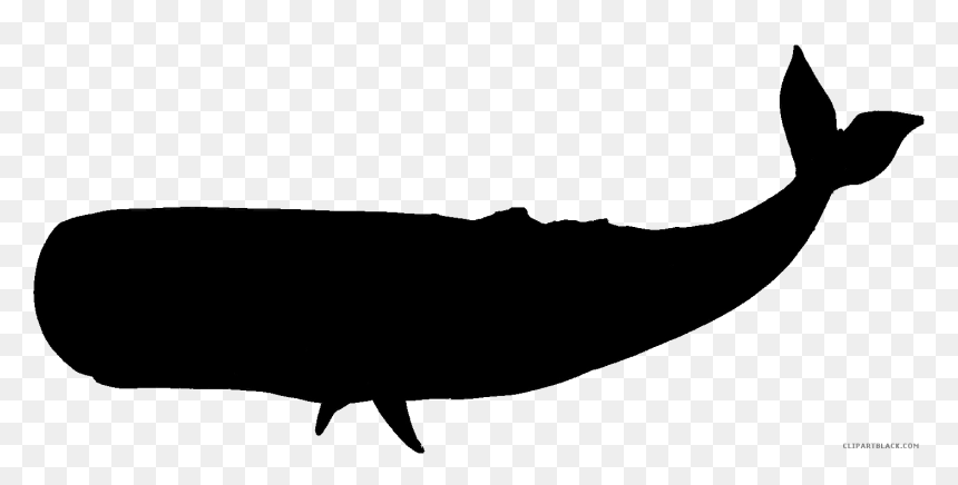 Black And White Whale Png - Blue Whale Silhouette Png, Transparent Png - wisconsin silhouette png