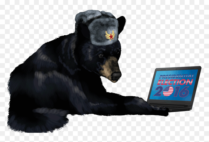 Russian Bear Hacking Election - Russian Bear Transparent, HD Png Download - russian bear png