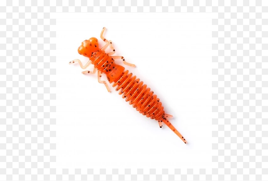 023 - Larva Fanatik Baits 1.6, HD Png Download - larva png