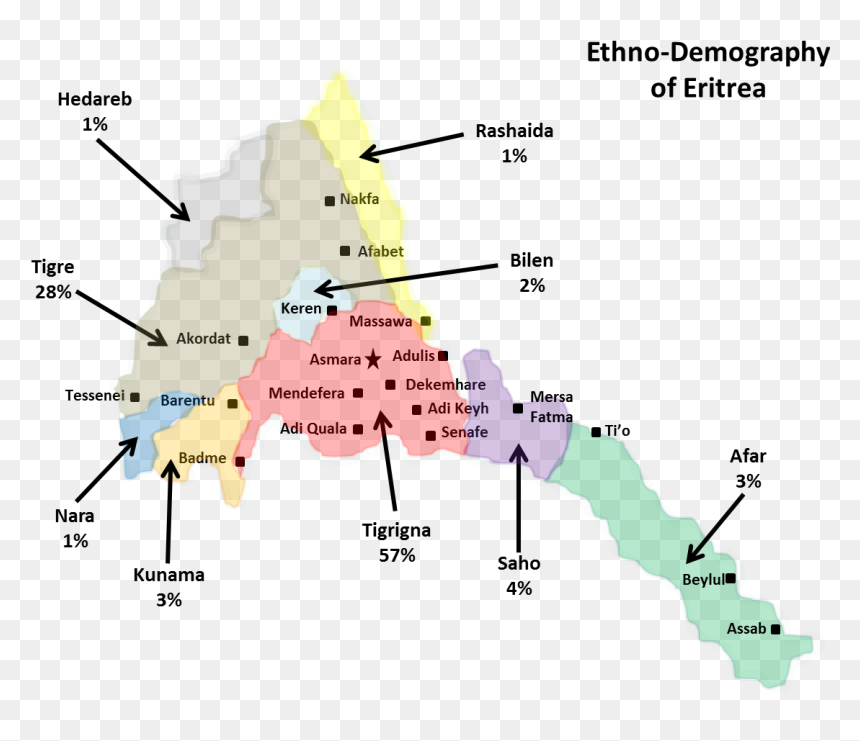 Ethno-demography Of Eritrea - Ethno Demography Of Eritrea, HD Png Download - demographics png