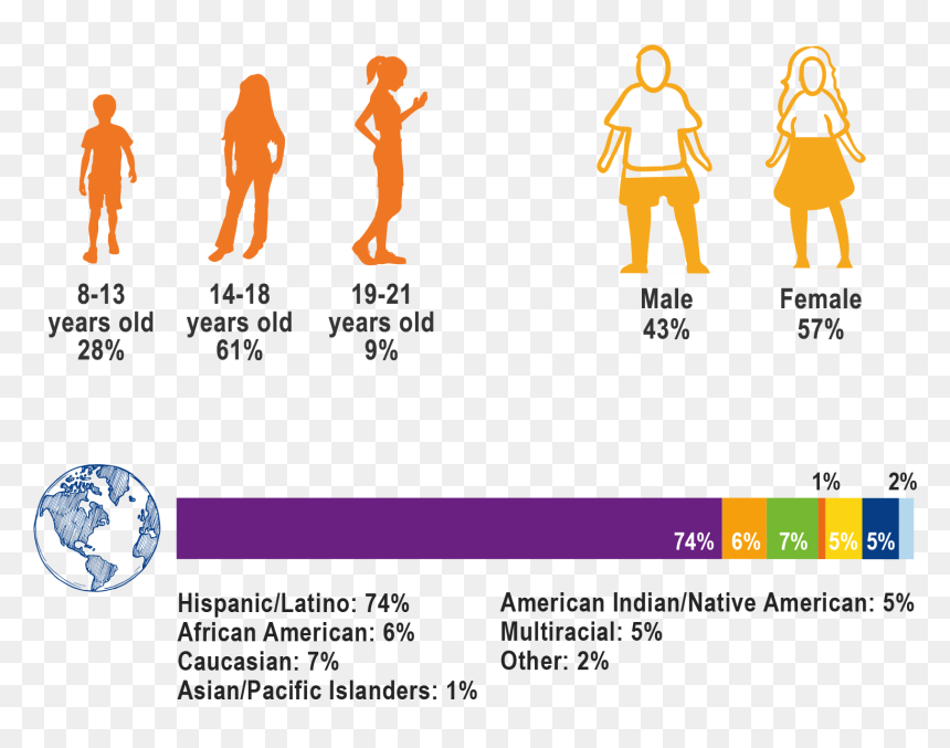Youth Mentoring Statistics 2018, HD Png Download - demographics png