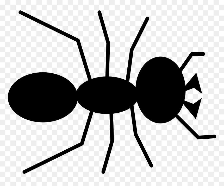 Ant Clipart, HD Png Download - pest png